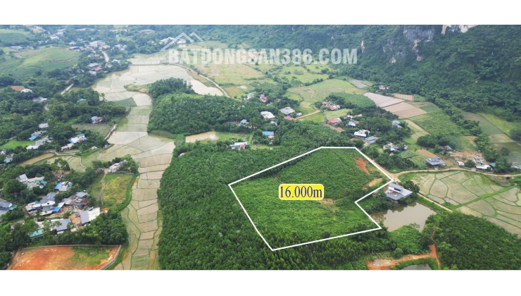 bán đất nghỉ dưỡng 1,6HA. 600k/m2. bám đường bê tông 50m, gần nghỉ dưỡng serena